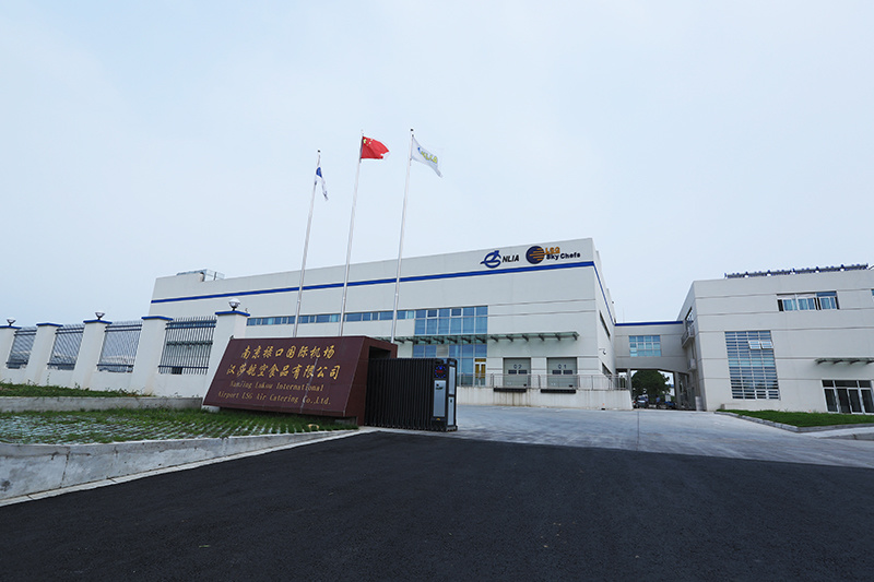 機場及漢莎項目